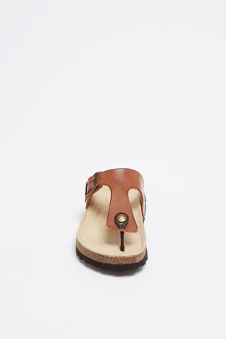 Tongs   Camel