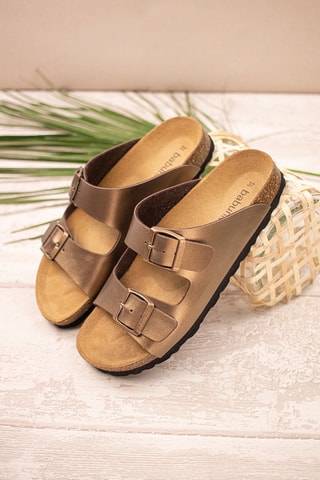 Mules Camel