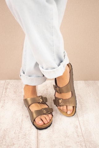 Mules Camel