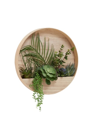 Prateleira de parede e plantas em madeira Fiori - 40 x 40 x 5 cm - Natural e verde