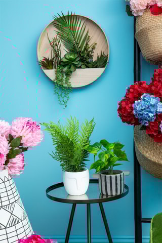 Prateleira de parede e plantas em madeira Fiori - 40 x 40 x 5 cm - Natural e verde