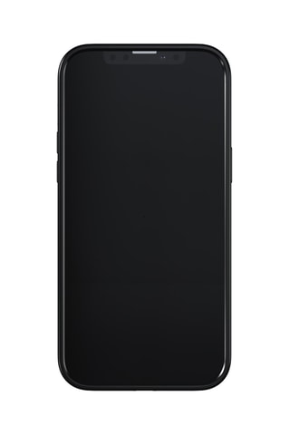 Case Richmond & Finch - iPhone 13 Pro Max