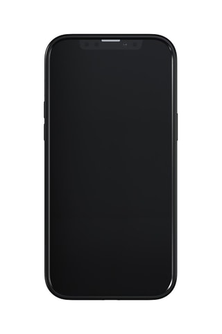 Case Richmond & Finch - iPhone 13 Pro Max