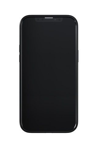 Case Richmond & Finch - iPhone 13 Pro Max