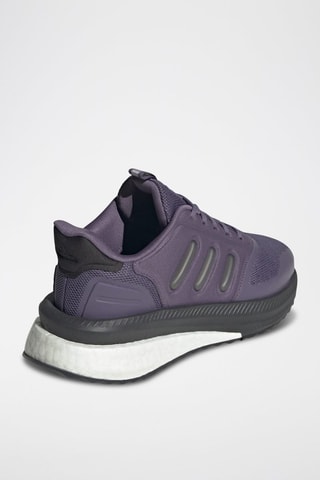 Chaussures de running X_Plrphase - Violet
