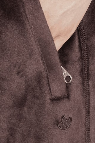 Pantalon Premium Essentials - Marron