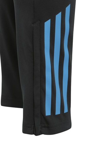 Pantalon de football Équipe d'Argentine de football - Bleu nuit