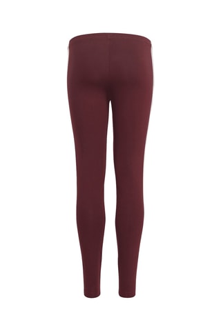 Legging de sport Adicolor - Bordeaux