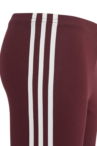 Legging de sport Adicolor - Bordeaux