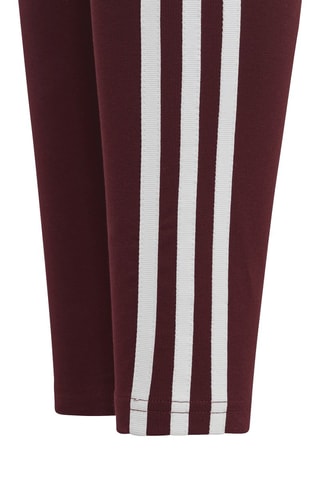 Legging de sport Adicolor - Bordeaux