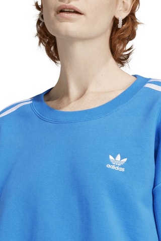 Sweat Adicolor - Bleu cobalt