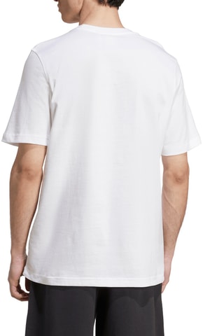T-shirt Adicolor Classics Trefoil - Blanc