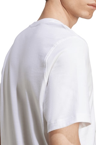 T-shirt Adicolor Classics Trefoil - Blanc