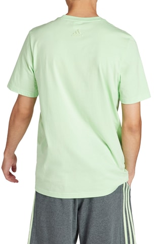T-shirt - Vert