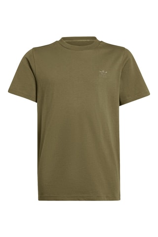 T-shirt standard - Kaki
