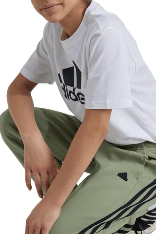 Pantalon sport - Vert clair
