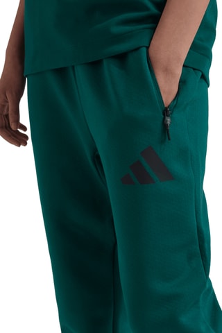 Pantalon Z.N.E. - Vert foncé