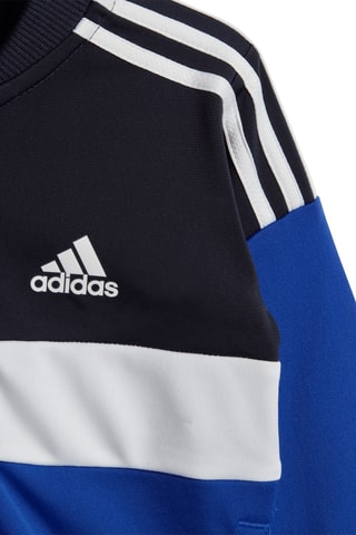 Veste et pantalon - Bleu cobalt