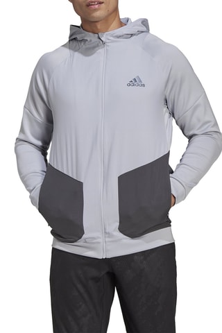 Sweat à capuche Full-Zip Gris clair