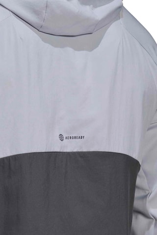 Sweat à capuche Full-Zip Gris clair