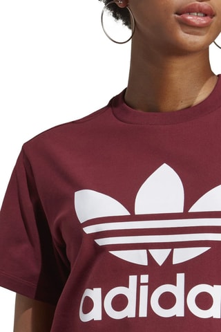 T-shirt Adicolor - Bordeaux