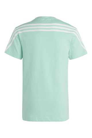 T-shirt U FI 3S T - Vert clair