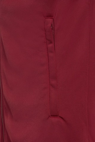 Veste Collegiate Graphic Pack SST - Bordeaux