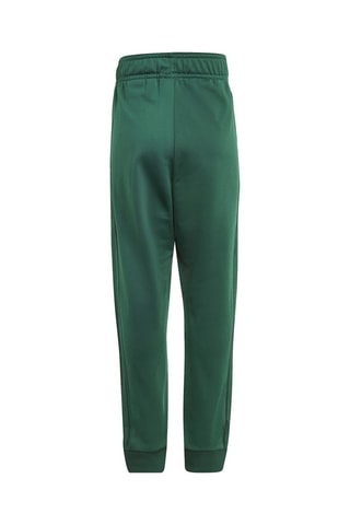 Survêtement Collegiate Pack SST - Vert