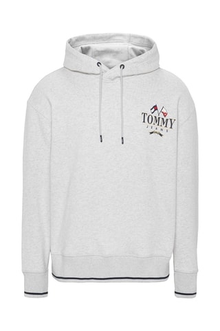 Sweat à capuche Gris clair chiné