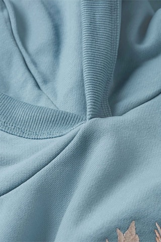 Sweat à capuche Bleu