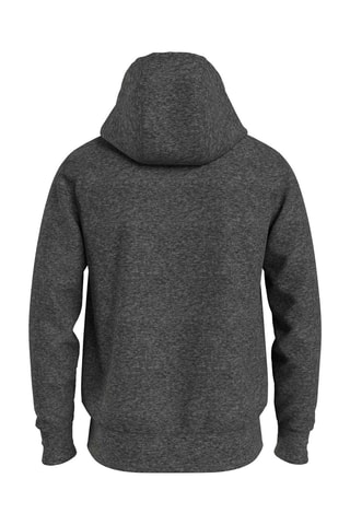 Sweat à capuche Gris