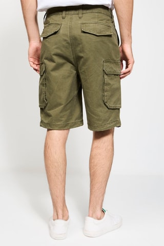 Bermuda Kaki