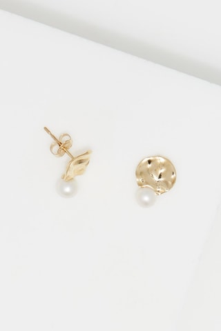 Puces Paloma Pearl Or jaune