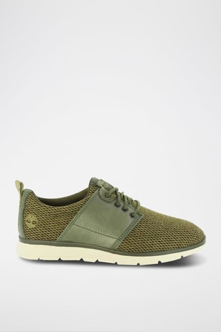 Sneakers Vert
