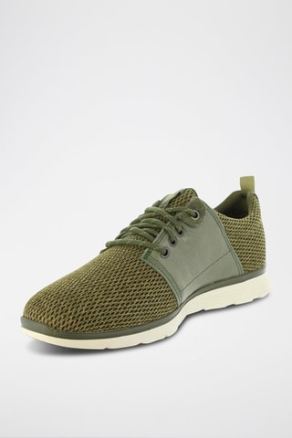 Sneakers Vert