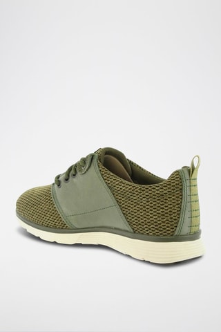 Sneakers Vert