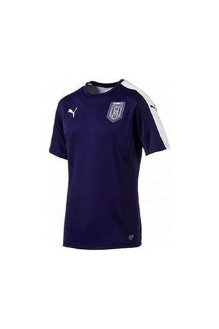 Maillot de foot Figc Stadium Jer - Bleu et blanc