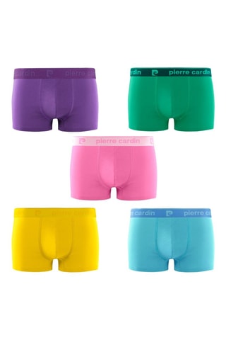 5 boxers - Violet, rose et vert - Pierre Cardin