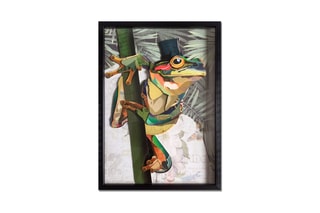 Tableau 3D Rana con cappello a cilindro 1 - 70 x 50 x 3 cm