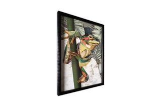 Tableau 3D Rana con cappello a cilindro 1 - 70 x 50 x 3 cm