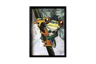 Tableau 3D Rana con cappello a cilindro 2 - 70 x 50 x 3 cm
