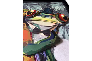 Tableau 3D Rana con cappello a cilindro 2 - 70 x 50 x 3 cm