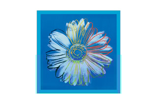 Tableau «Daisy, C.1982» Andy Warhol - 35 x 35 cm