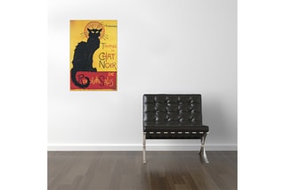 Tableau “Chat Noir” Anonimus - 50 x 75 cm