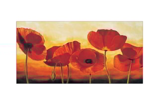 Tableau «In the Sun» Wolf Kahn - 100 x 50 cm