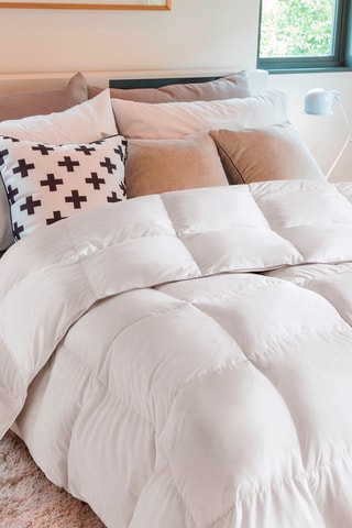 Couette extra chaude plumes d'oie - anti-acariens - polyester 500 g/m²