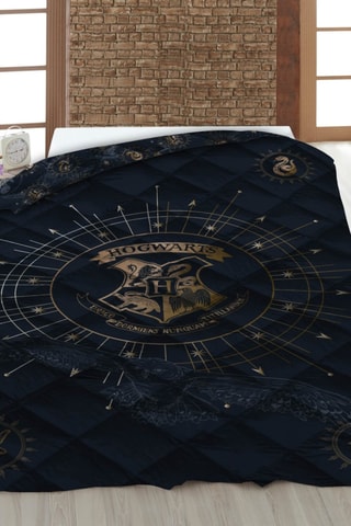 Edredão Harry Potter - Preto e dourado