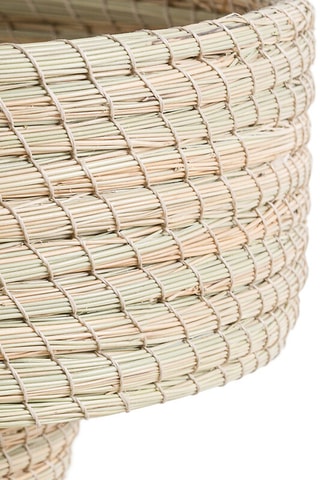 Cesto para frutos - 32 cm - Verde-água