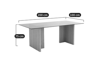Glazen Tafel Archita - 200 x 75 x 100 cm