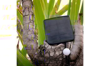 Grinalda solar 60 LED Billy